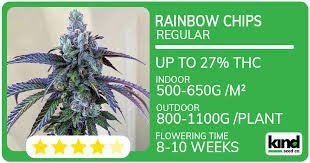 The Ultimate Guide to Autoflower Seeds 1 The Ultimate Guide to Autoflower Seeds 1